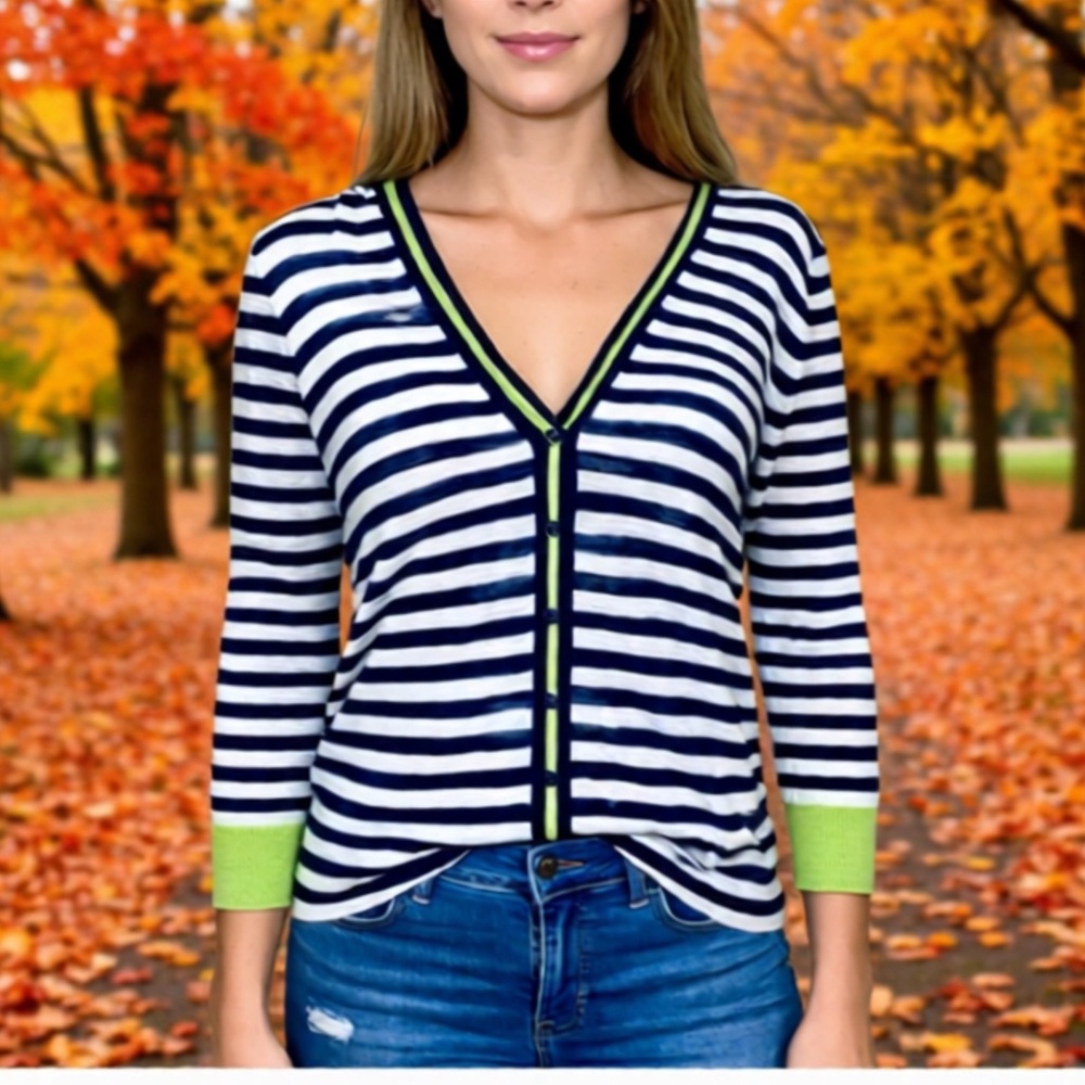 J Crew Striped Blue Accent Cardigan